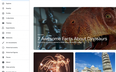 Google Arts and Culture Project