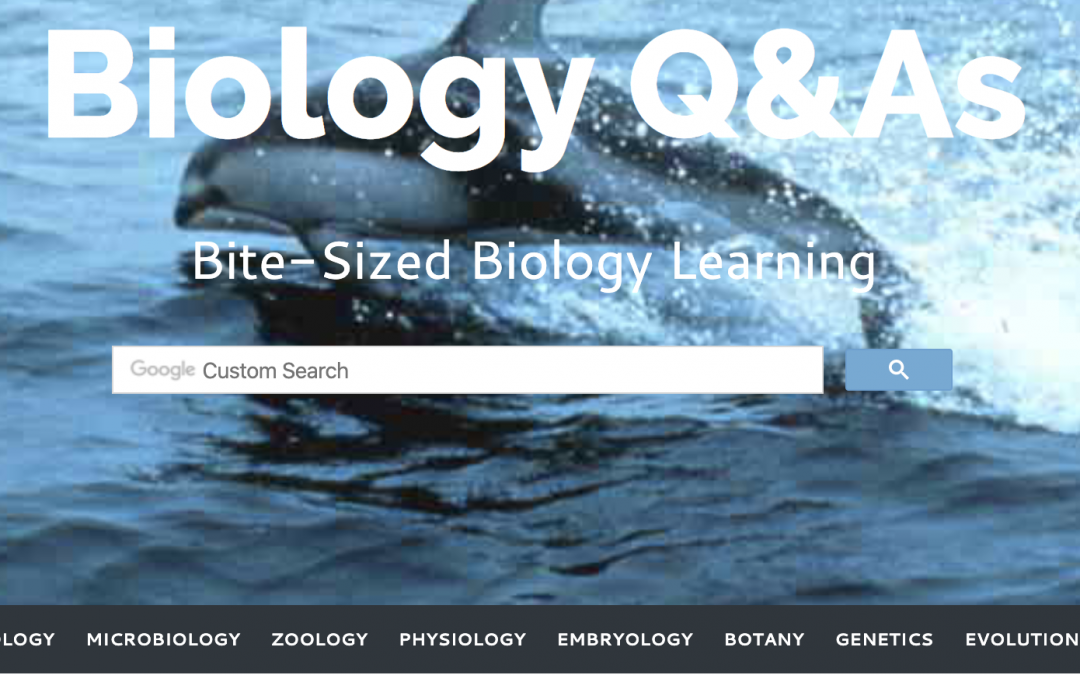 Biology Q&A