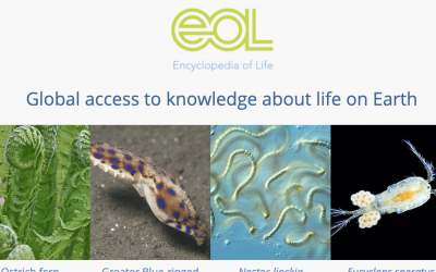 Encyclopedia of Life
