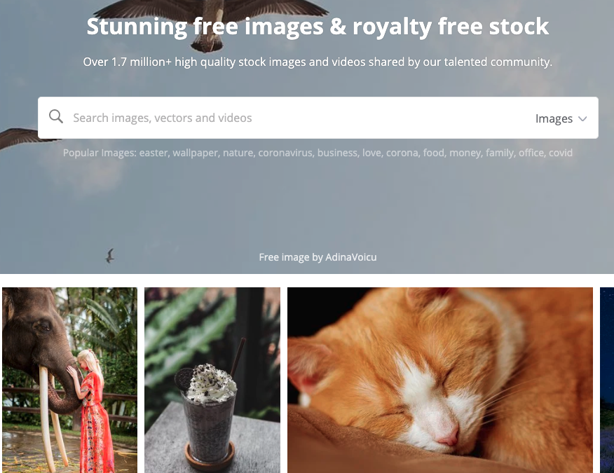 Pixabay – Royalty-free photos and images