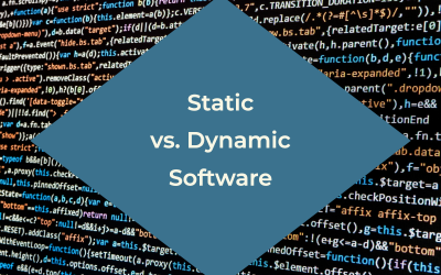 Dynamic vs. Static Software